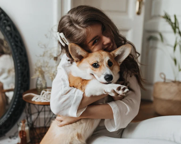 small automatic pet feeder